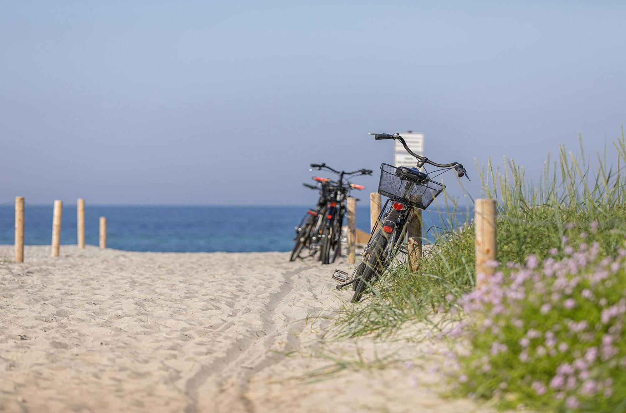 Seeschwalbe In Der Alten Seefahrtschule Wustrow  Esterno foto