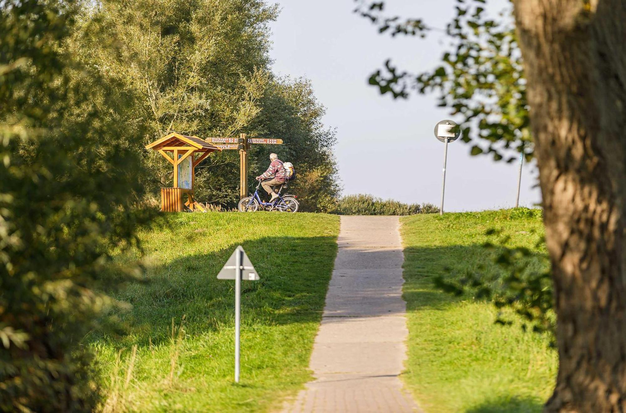 Seeschwalbe In Der Alten Seefahrtschule Wustrow  Esterno foto